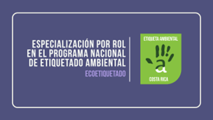 Nivel 3: Roles dentro del Programa Nacional